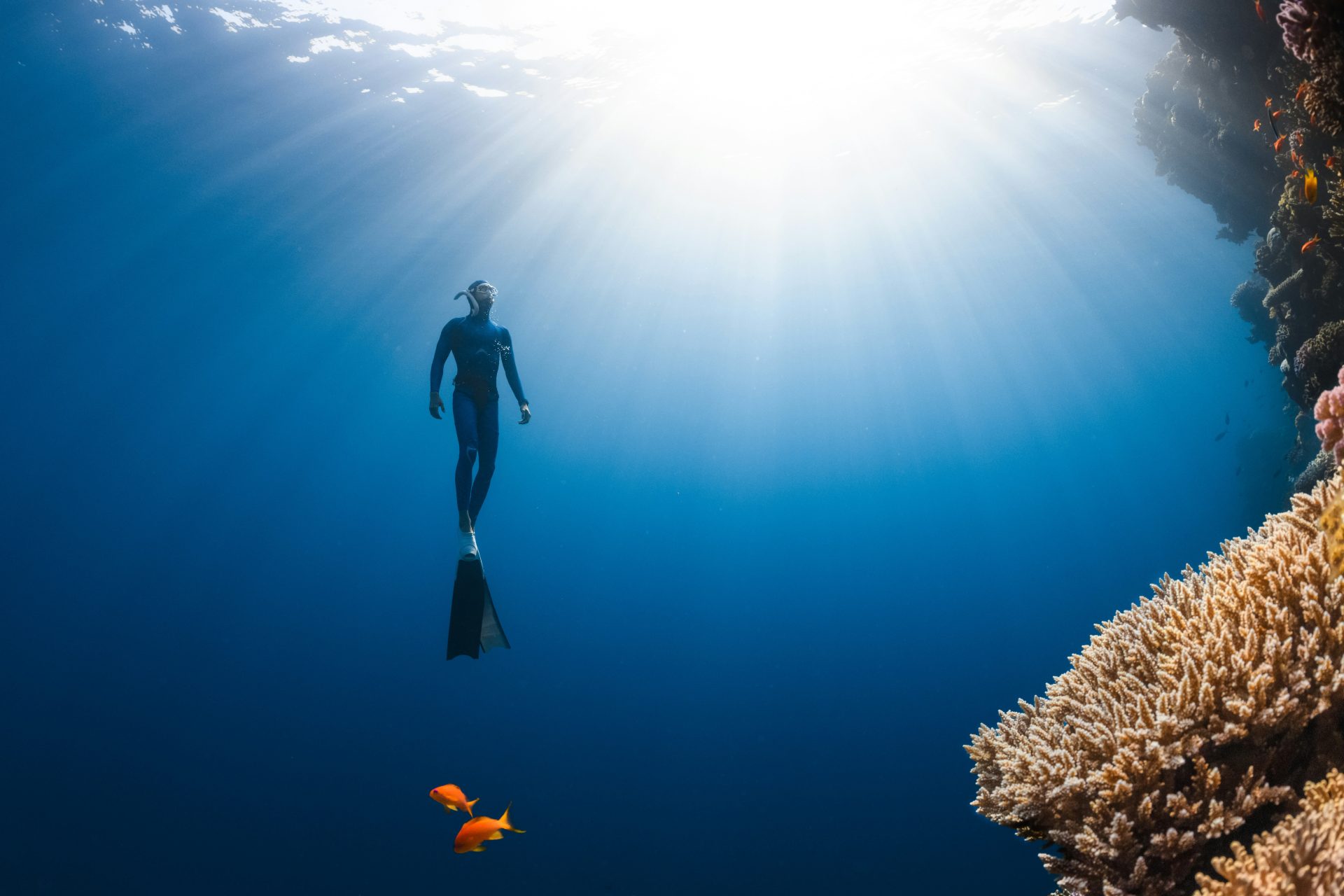 a man in a wet suit swimming in the ocean